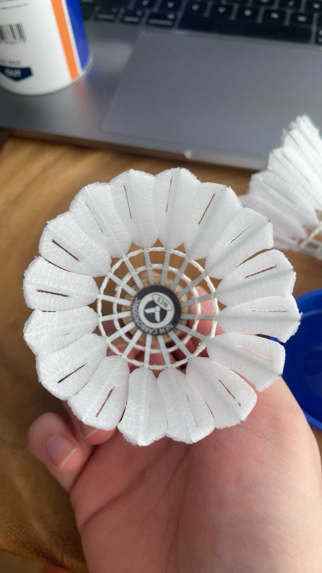 朱婷再次焕 朱婷再次焕