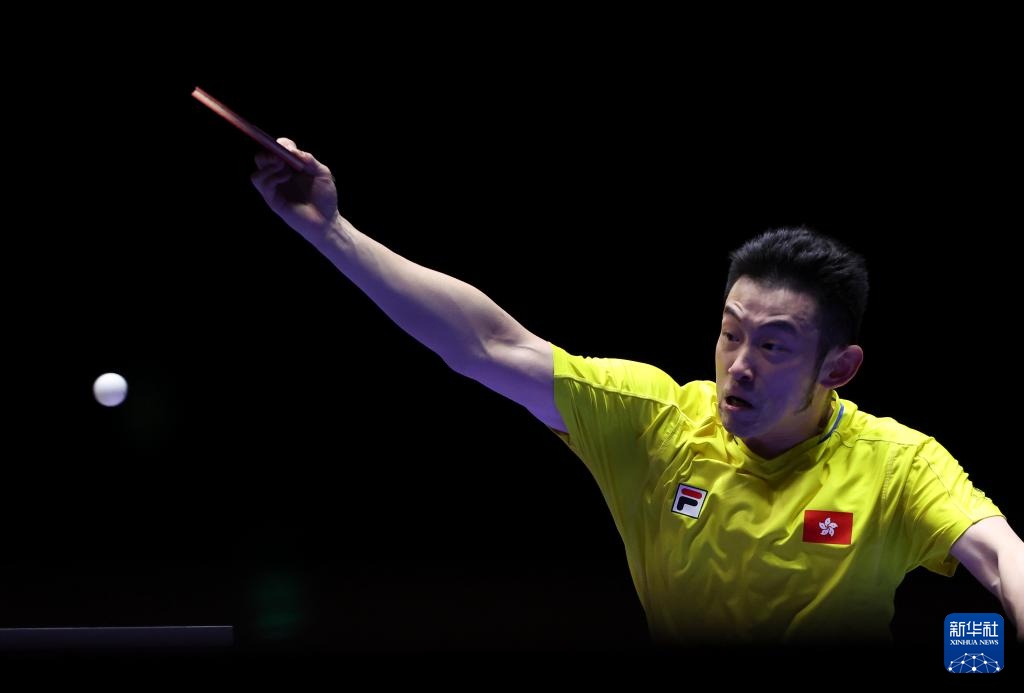 统弓比赛 统弓比赛