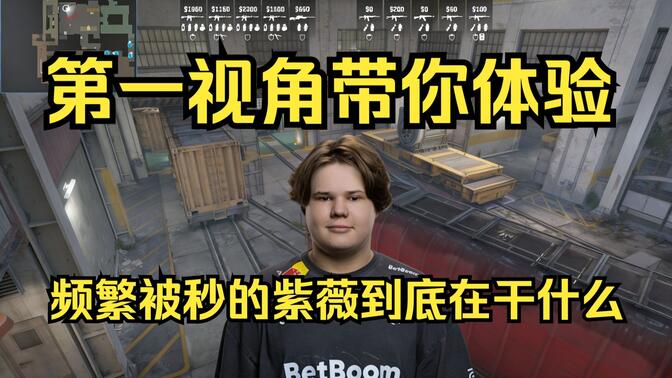 并不花哨 并不花哨